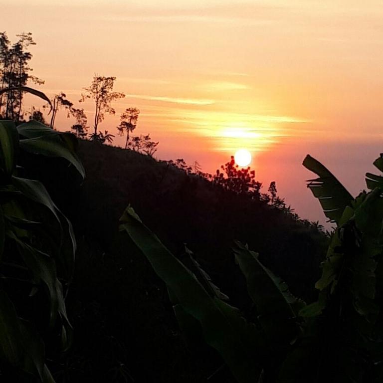 Ecobromo Lägenhet Pasuruan Exteriör bild