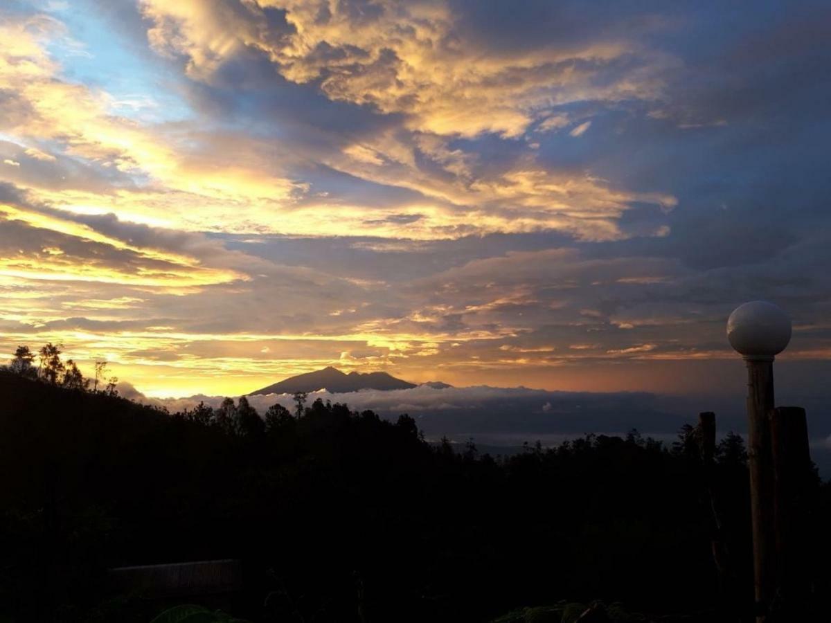 Ecobromo Lägenhet Pasuruan Exteriör bild